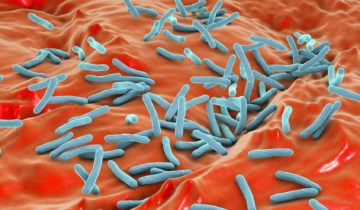 Dr_Kateryna - Fotolia - Microscopic view of bacterium Mycobacterium tuberculosis inside human body, model of bacteria, realistic illustration of microbes, microorganisms, bacterium which causes tuberculosis